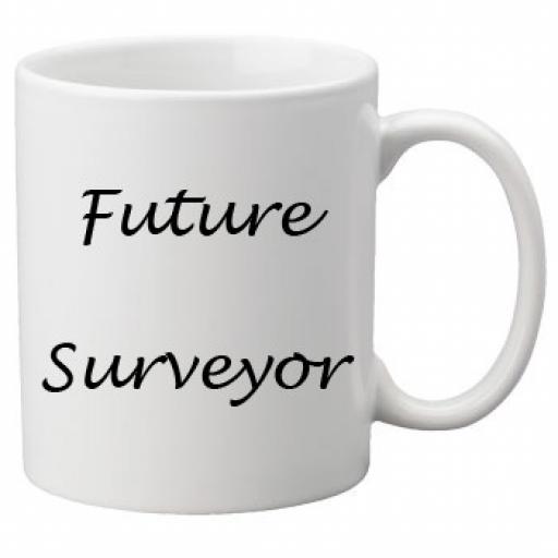 Future Surveyor 11oz Mug