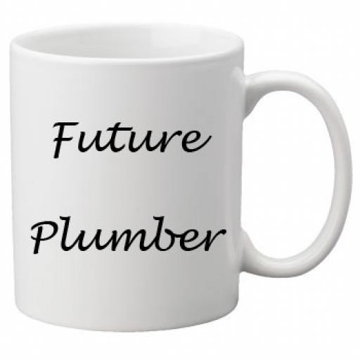Future Plumber 11oz Mug
