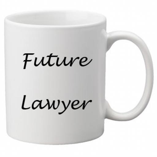 Future Lawyer 11oz Mug