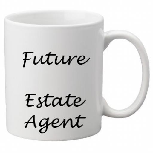 Future Estate Agent 11oz Mug