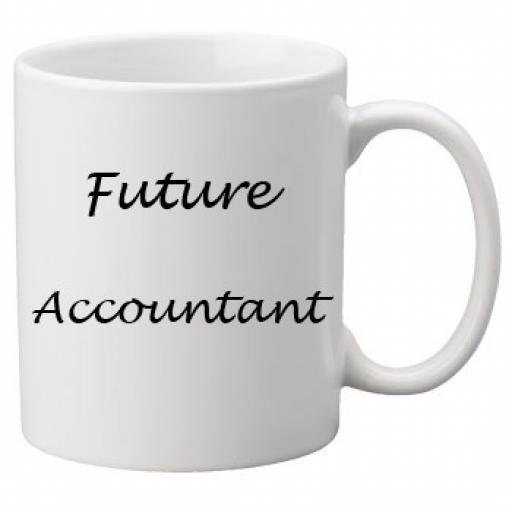 Future Accountant 11oz Mug